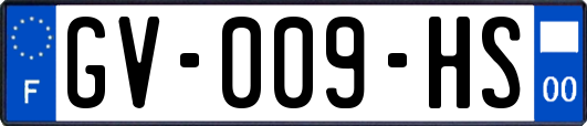 GV-009-HS