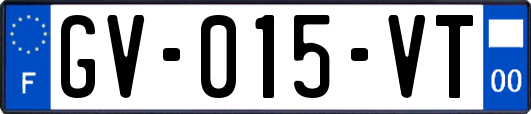 GV-015-VT