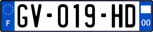GV-019-HD