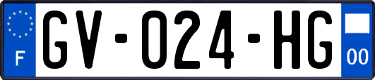 GV-024-HG
