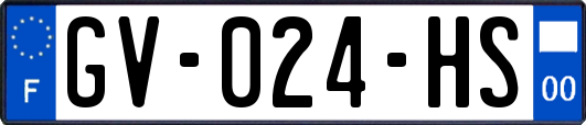 GV-024-HS