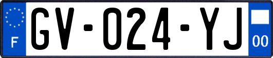 GV-024-YJ