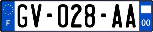 GV-028-AA