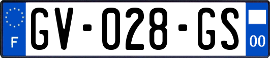 GV-028-GS