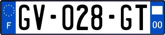 GV-028-GT