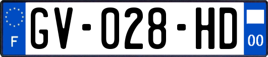 GV-028-HD