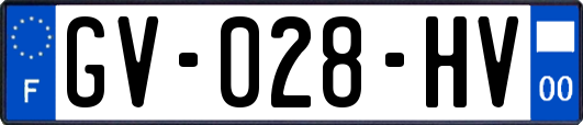 GV-028-HV