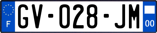 GV-028-JM