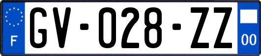 GV-028-ZZ