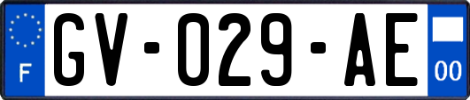 GV-029-AE