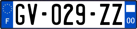 GV-029-ZZ