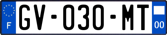 GV-030-MT