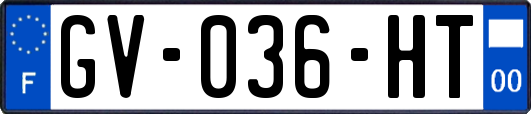 GV-036-HT