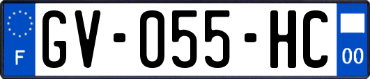 GV-055-HC
