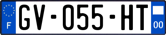 GV-055-HT