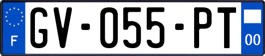 GV-055-PT