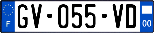 GV-055-VD