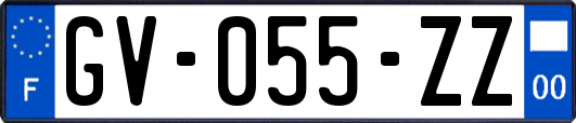 GV-055-ZZ