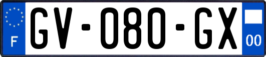 GV-080-GX