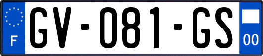 GV-081-GS