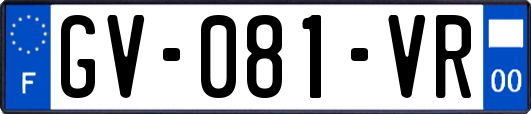 GV-081-VR