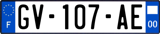 GV-107-AE