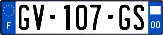 GV-107-GS
