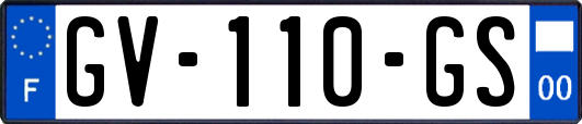 GV-110-GS