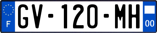 GV-120-MH