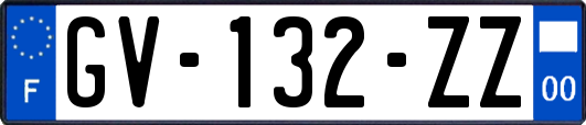 GV-132-ZZ