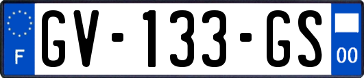 GV-133-GS