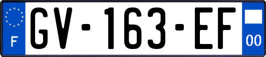 GV-163-EF
