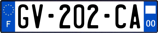 GV-202-CA
