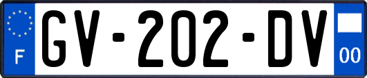 GV-202-DV