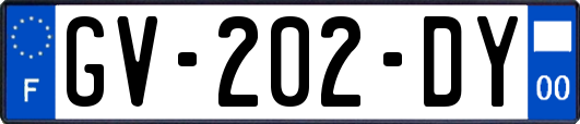 GV-202-DY