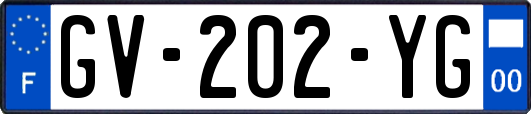 GV-202-YG