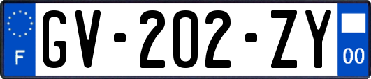 GV-202-ZY