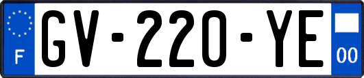 GV-220-YE