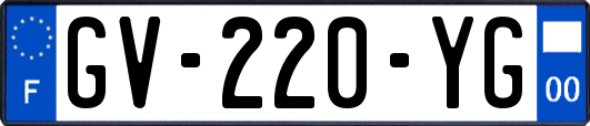 GV-220-YG