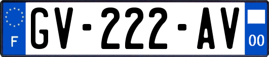 GV-222-AV