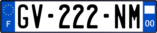 GV-222-NM