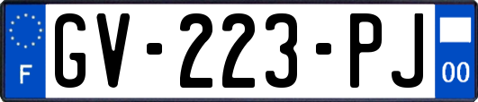 GV-223-PJ