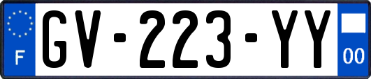 GV-223-YY