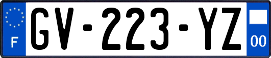 GV-223-YZ