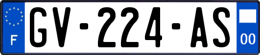 GV-224-AS