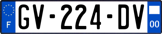 GV-224-DV