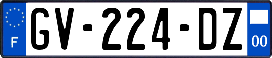 GV-224-DZ
