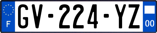 GV-224-YZ