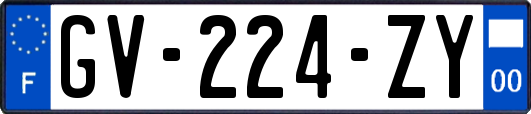 GV-224-ZY