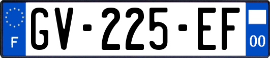 GV-225-EF